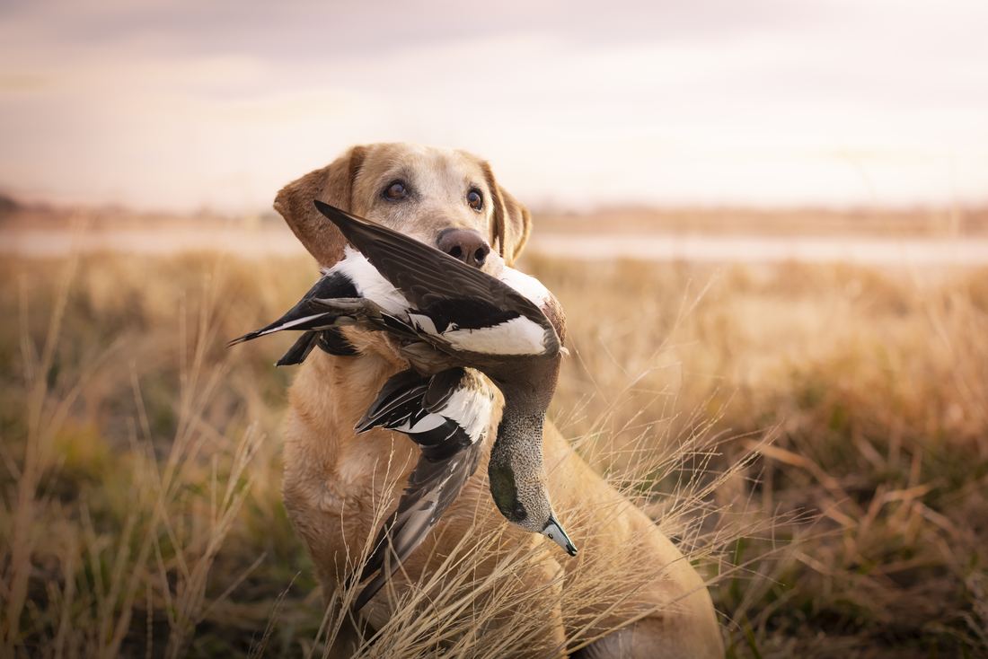 River Lodge Outfitters on Instagram