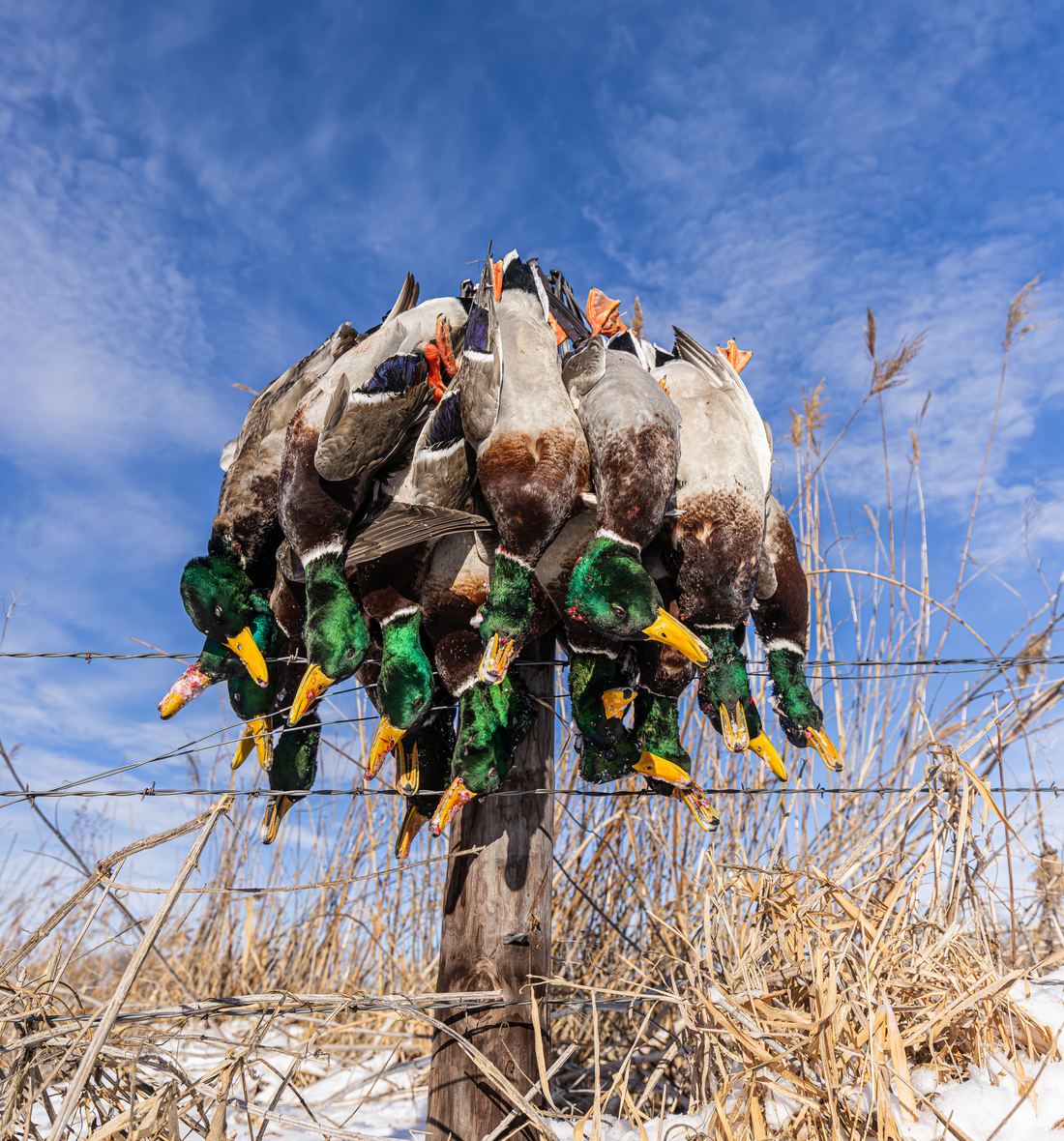 River Lodge Outfitters on Instagram