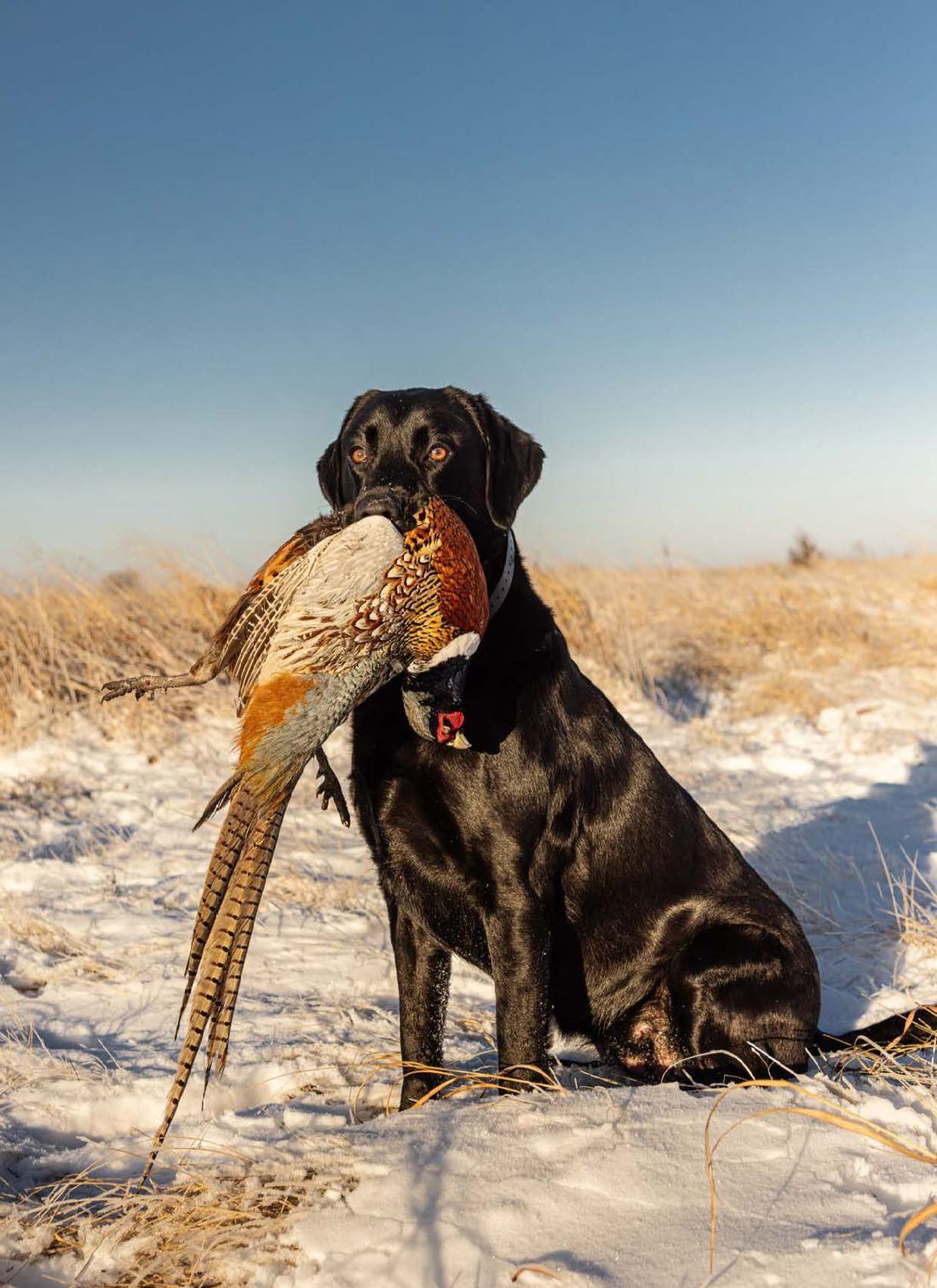 River Lodge Outfitters on Instagram