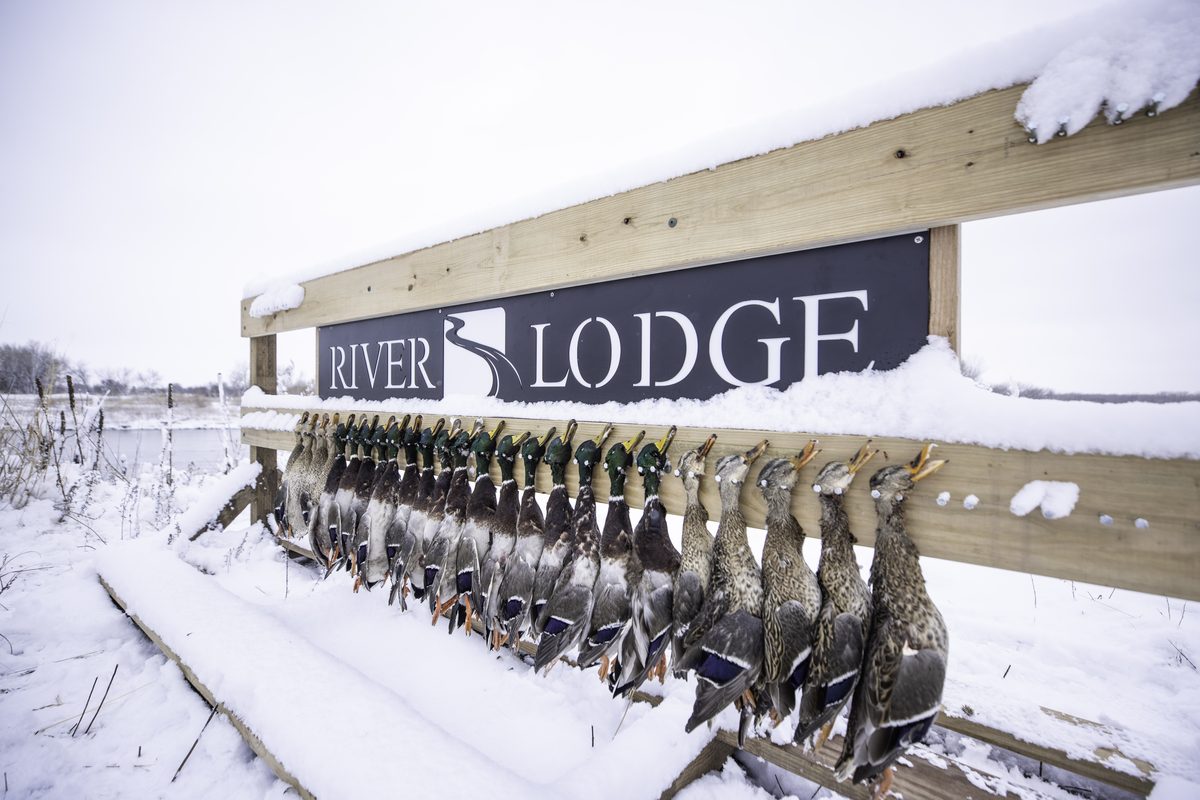 A luxury guest suite at River Lodge